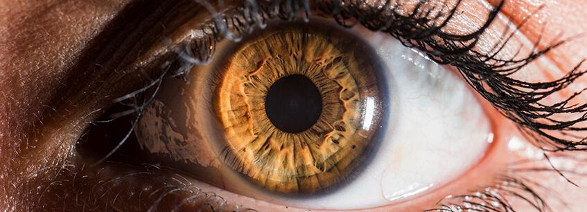 ojos, curiosidades, mirada