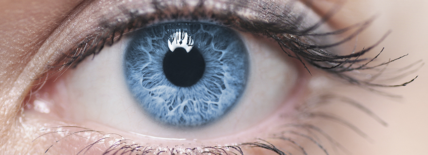 ojos, conjuntivitis alérgica