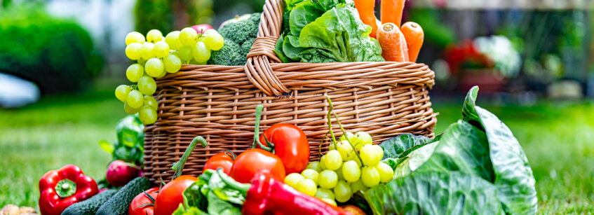 alimentos antioxidantes