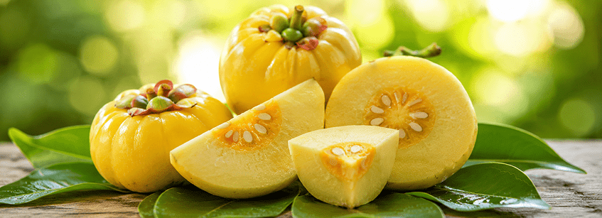 garcinia cambogia